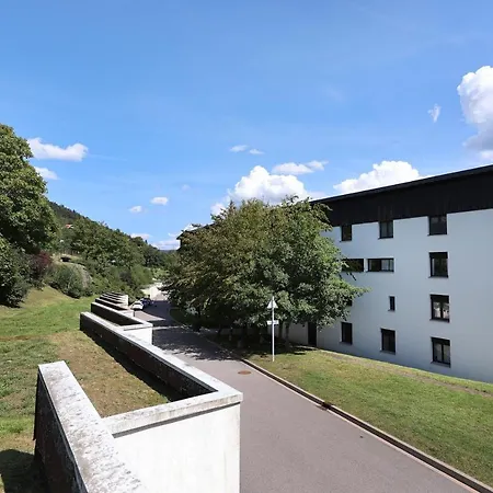 Les Xettes - Vue Montagne * Gérardmer