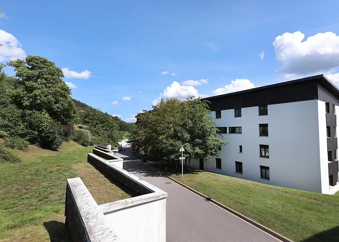 Les Xettes - Vue Montagne * Gérardmer